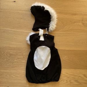 2-3T Toddler Pottery Barn Kids Skunk Costume